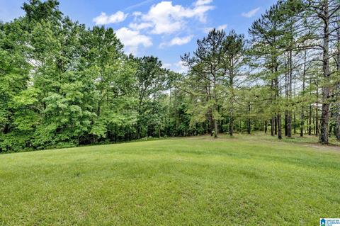2602 Tim King Rd, Oneonta, AL 35121 photo 8