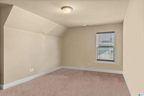 6366 Cove Ln, Mc Calla, AL 35111 photo 20