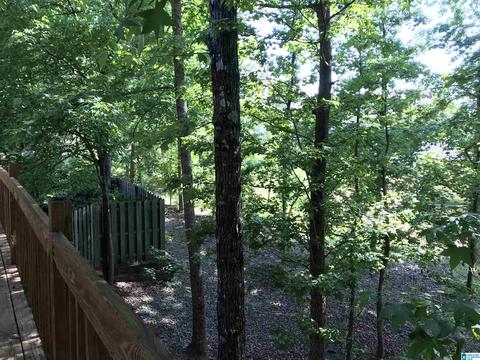 4532 Eagle Point Dr, Birmingham, AL 35242 photo 3