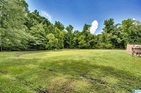 25 Eugene Ave, Jemison, AL 35085 photo 17