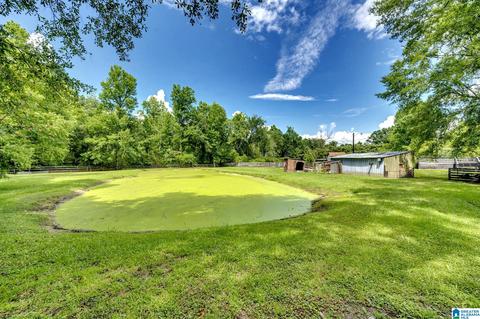 25 Eugene Ave, Jemison, AL 35085 photo 18