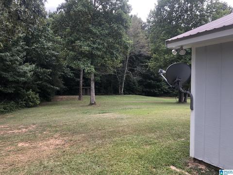 355 Sunhill Dr, Remlap, AL 35133 photo 46
