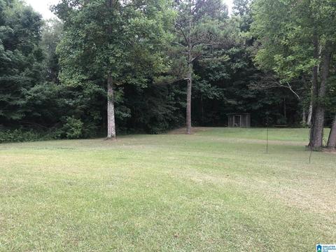 355 Sunhill Dr, Remlap, AL 35133 photo 41