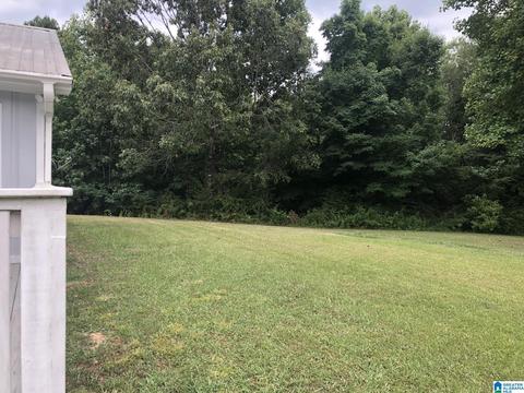 355 Sunhill Dr, Remlap, AL 35133 photo 40