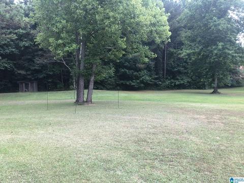 355 Sunhill Dr, Remlap, AL 35133 photo 42