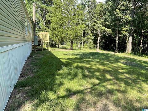 7533 River Rd, Dora, AL 35062 photo 21