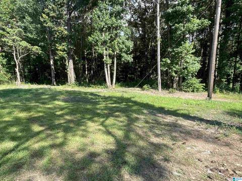 7533 River Rd, Dora, AL 35062 photo 22