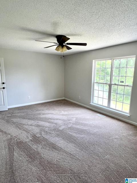 13399 Parsons Dr, Vance, AL 35490 photo 14
