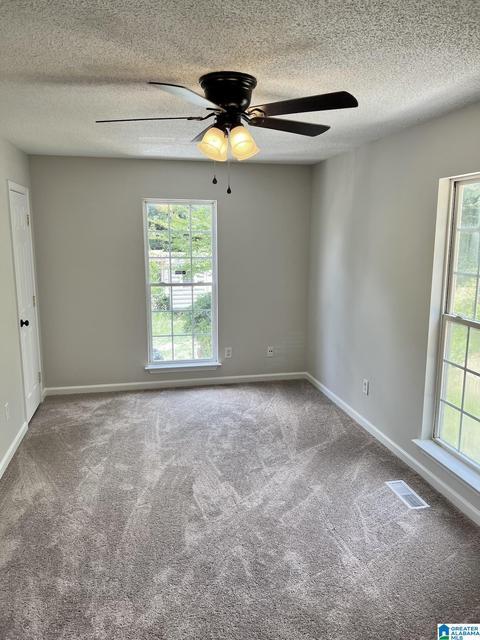 13399 Parsons Dr, Vance, AL 35490 photo 16