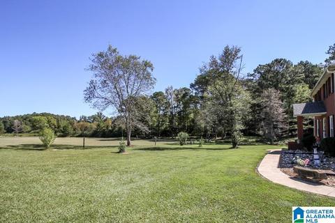 551 Williams Rd, Jasper, AL 35503 photo 42