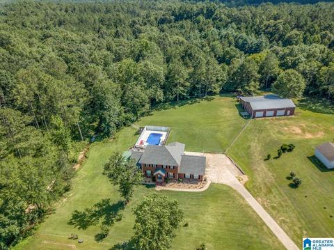 551 Williams Rd, Jasper, AL 35503 photo 3