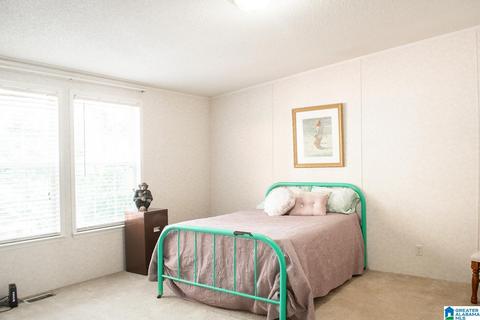 588 Tomahawk Trl, Riverside, AL 35135 photo 18