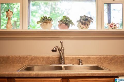 588 Tomahawk Trl, Riverside, AL 35135 photo 11