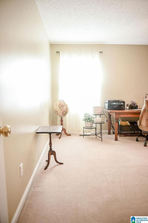 1004 Apache Pass, Anniston, AL 36206 photo 28
