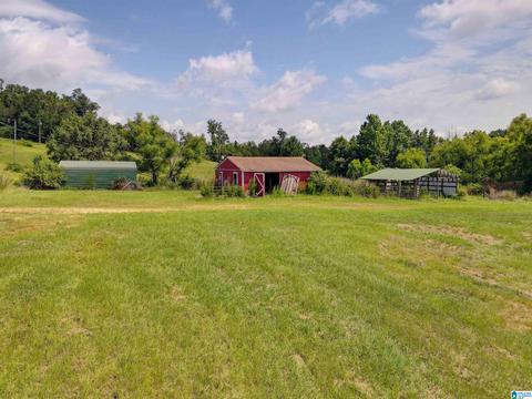 5669 County Road 9, Clanton, AL 35045 photo 49