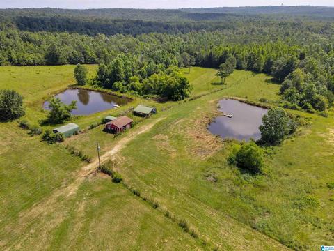 5669 County Road 9, Clanton, AL 35045 photo 46