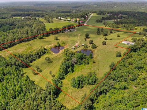 5669 County Road 9, Clanton, AL 35045 photo 45