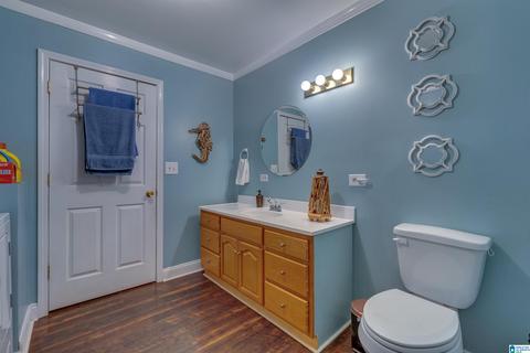 5669 County Road 9, Clanton, AL 35045 photo 30