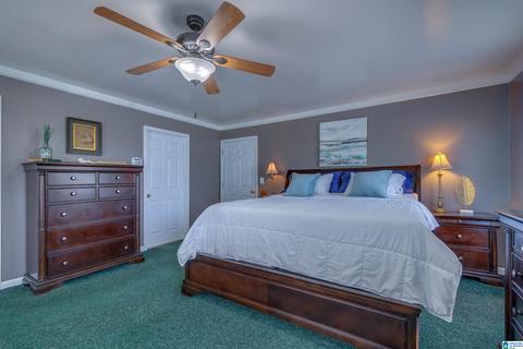 5669 County Road 9, Clanton, AL 35045 photo 20