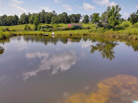 5669 County Road 9, Clanton, AL 35045 photo 50