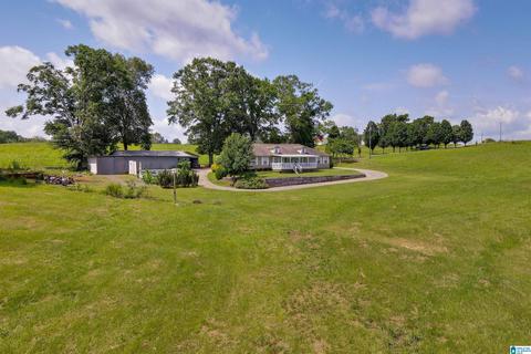 5669 County Road 9, Clanton, AL 35045 photo 4