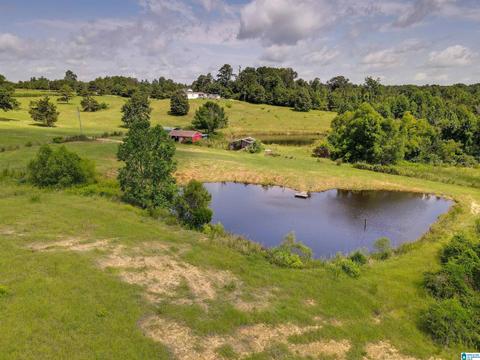 5669 County Road 9, Clanton, AL 35045 photo 47