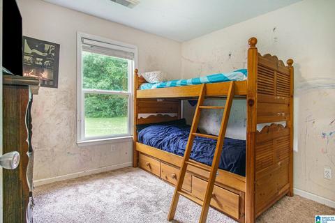 18342 Peyton Ln, Vance, AL 35490 photo 21