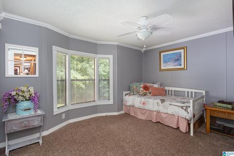 1055 Collins Rd, Ohatchee, AL 36271 photo 24