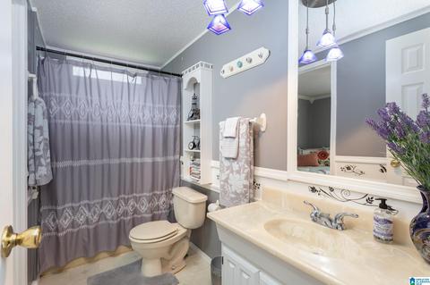 1055 Collins Rd, Ohatchee, AL 36271 photo 23