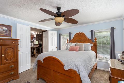 1055 Collins Rd, Ohatchee, AL 36271 photo 17