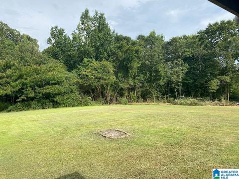 126 Sanders Rd, Jasper, AL 35504 photo 28