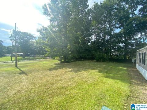 126 Sanders Rd, Jasper, AL 35504 photo 24