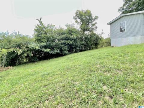 5217 Java Ave, Birmingham, AL 35224 photo 28