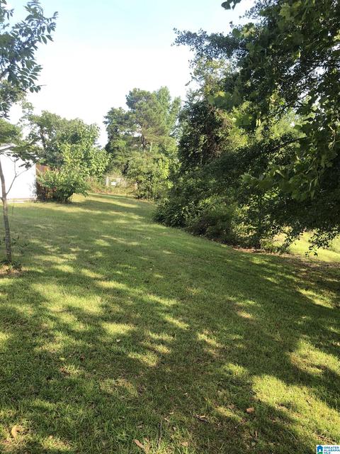 439 County Road 230, Clanton, AL 35045 photo 19