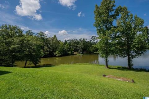299 Scisson Ln, Riverside, AL 35135 photo 40