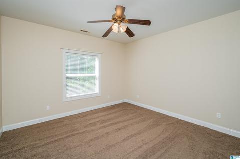 299 Scisson Ln, Riverside, AL 35135 photo 30