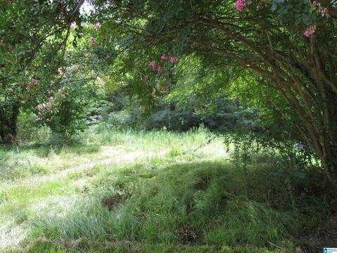 19410 Abernant Loop Rd, Vance, AL 35490 photo 4