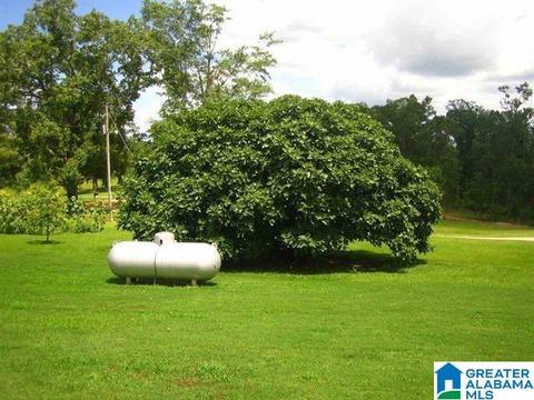 156 County Road 830, Clanton, AL 35045 photo 17