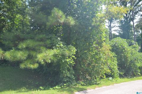 0 Hilltop Rd #0, Weaver, AL 36277