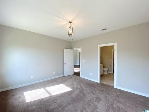 160 Avalon Way, Clanton, AL 35045 photo 24