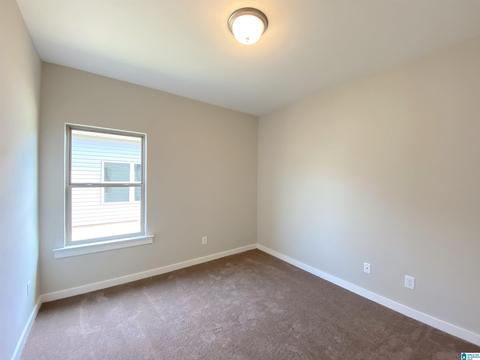 160 Avalon Way, Clanton, AL 35045 photo 9