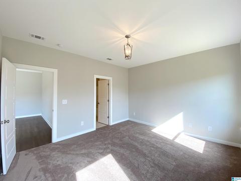 160 Avalon Way, Clanton, AL 35045 photo 25