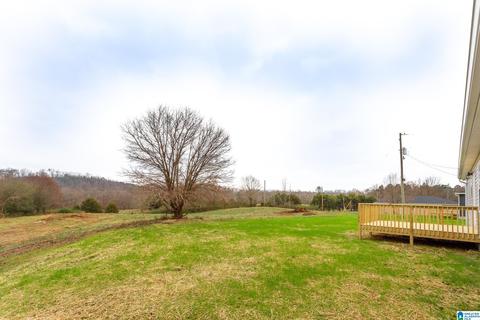 85 Grants Rd, Ohatchee, AL 36271 photo 36