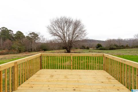 85 Grants Rd, Ohatchee, AL 36271 photo 29