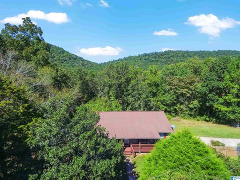4 Oak Dr, Remlap, AL 35133 photo 35