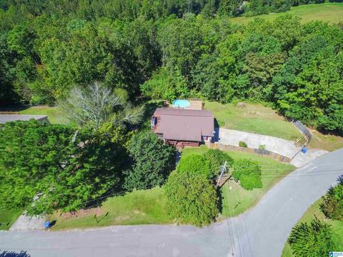 4 Oak Dr, Remlap, AL 35133 photo 33