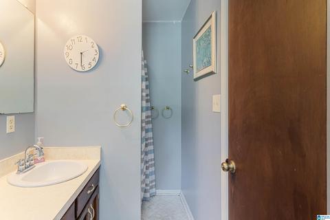4 Oak Dr, Remlap, AL 35133 photo 23