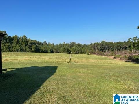 30095 Highway 431 #20.62 AC., Five Points, AL 36855 photo 2