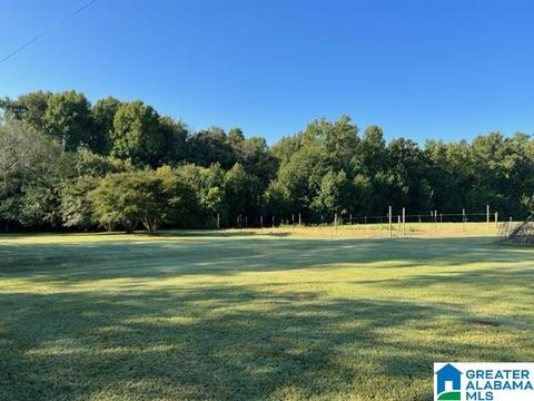 30095 Highway 431 #20.62 AC., Five Points, AL 36855 photo 3