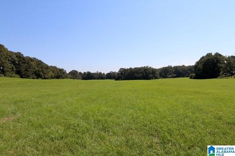 0 Wilson Rd #1, Clanton, AL 35045
